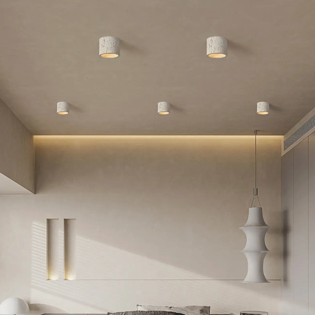 Dimmable Cylinder Flush Mount Ceiling Light for Indoor Use