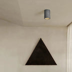 Dimmable Cylinder Flush Mount Ceiling Light for Indoor Use