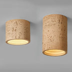 Dimmable Cylinder Flush Mount Ceiling Light for Indoor Use