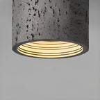 Dimmable Cylinder Flush Mount Ceiling Light for Indoor Use