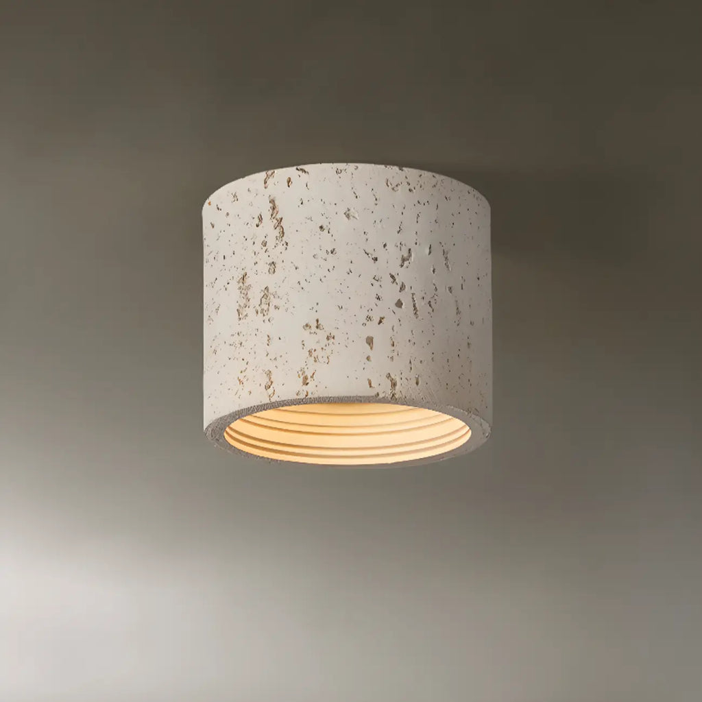 Dimmable Cylinder Flush Mount Ceiling Light for Indoor Use