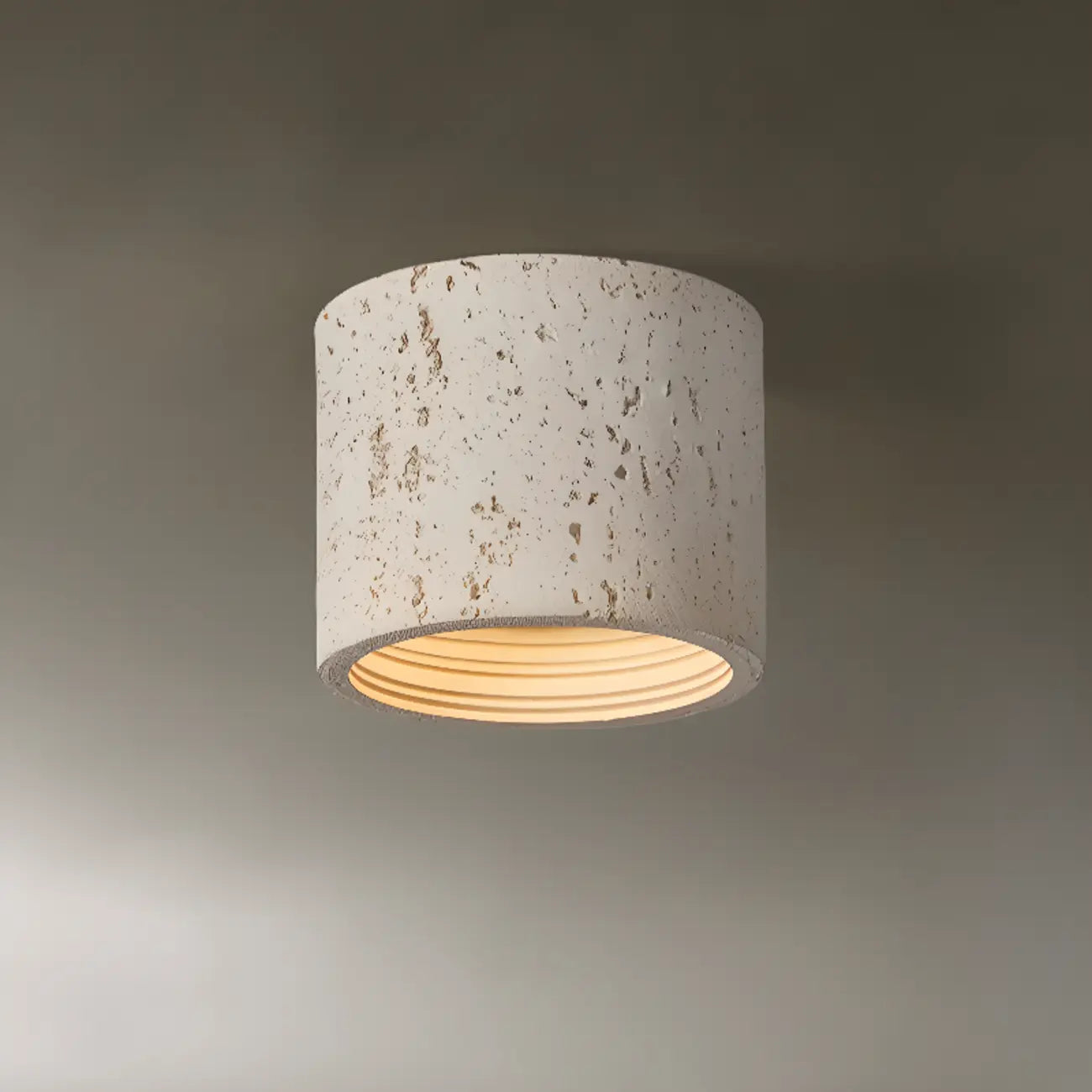 Dimmable Cylinder Flush Mount Ceiling Light for Indoor Use