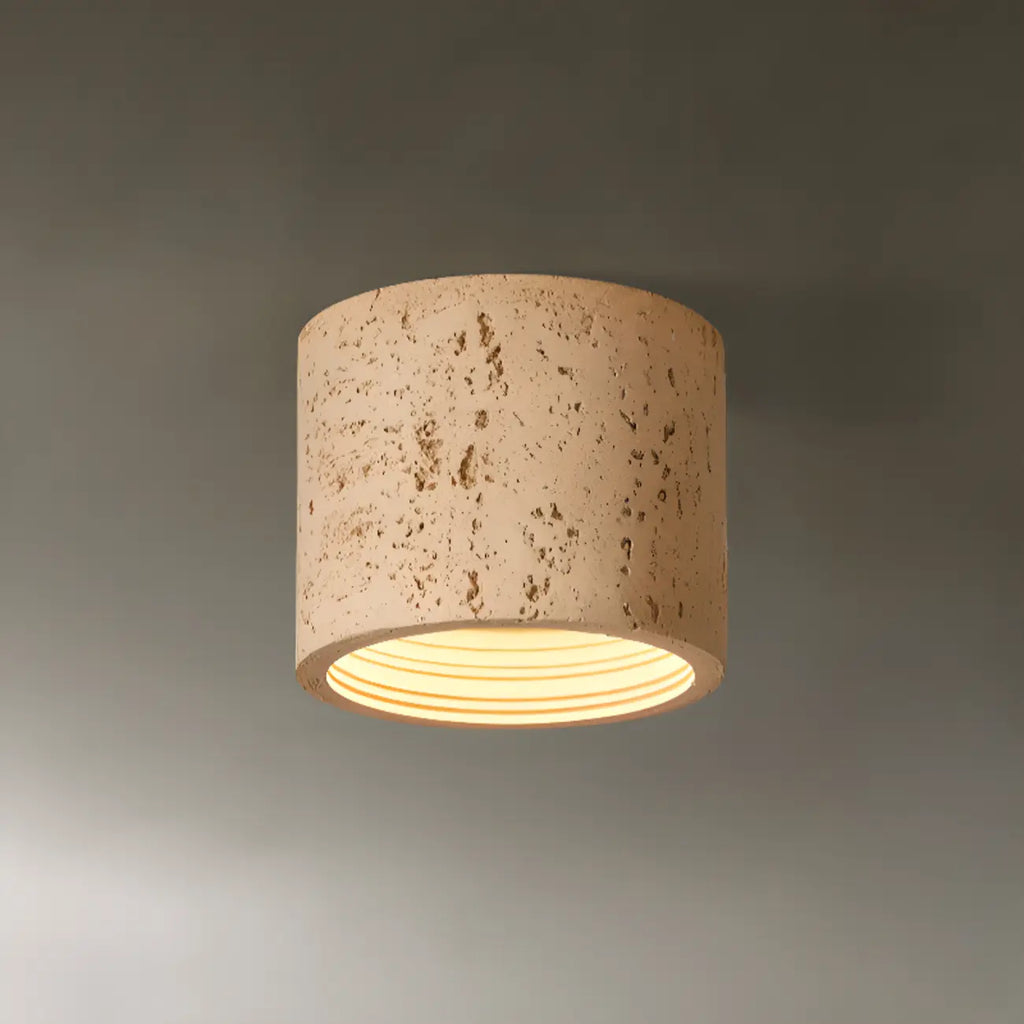 Dimmable Cylinder Flush Mount Ceiling Light for Indoor Use