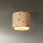 Dimmable Cylinder Flush Mount Ceiling Light for Indoor Use