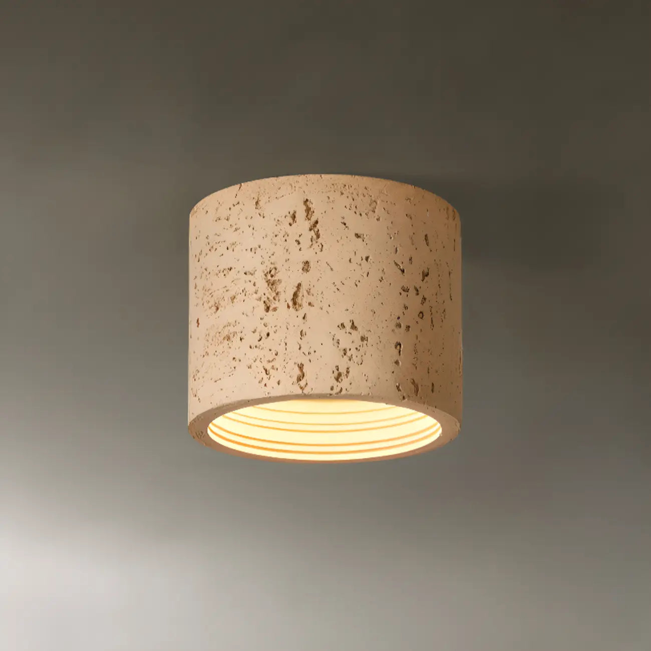 Dimmable Cylinder Flush Mount Ceiling Light for Indoor Use