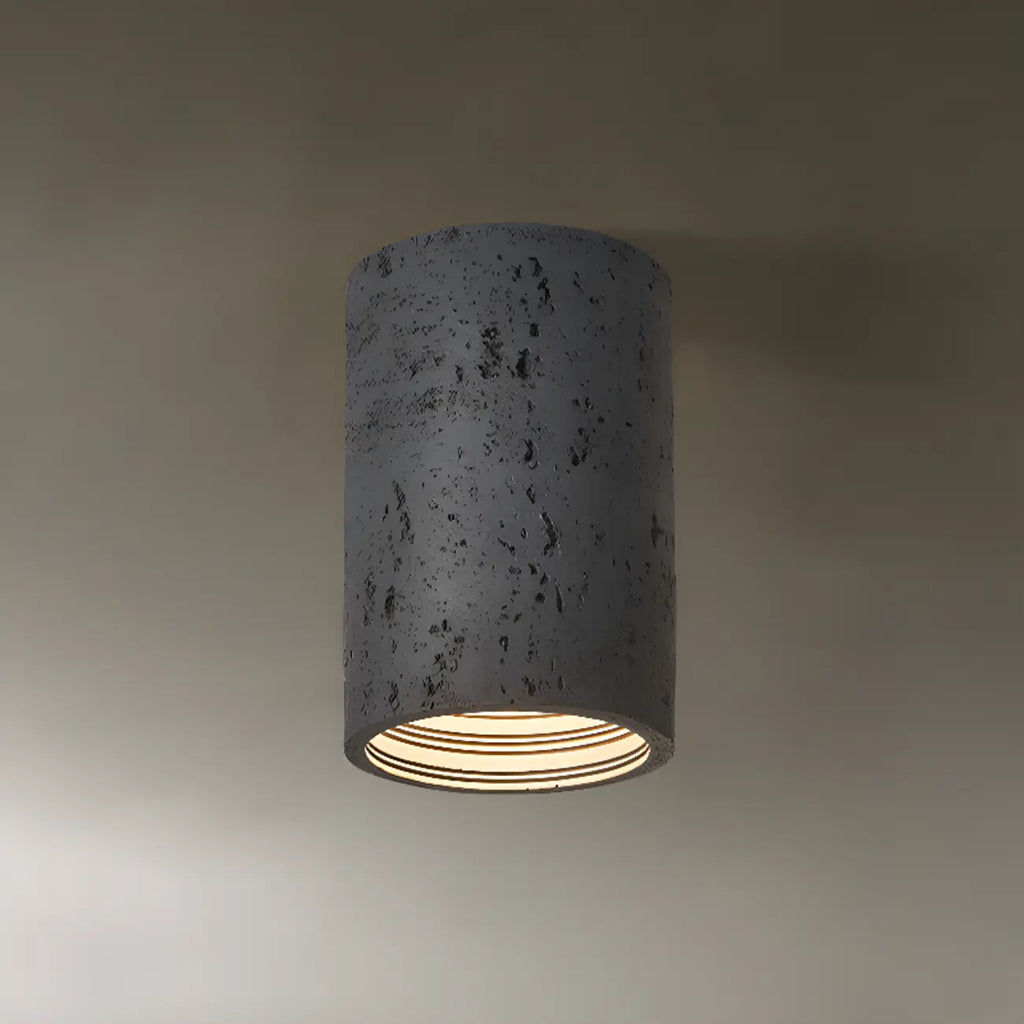 Dimmable Cylinder Flush Mount Ceiling Light for Indoor Use