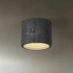 Dimmable Cylinder Flush Mount Ceiling Light for Indoor Use