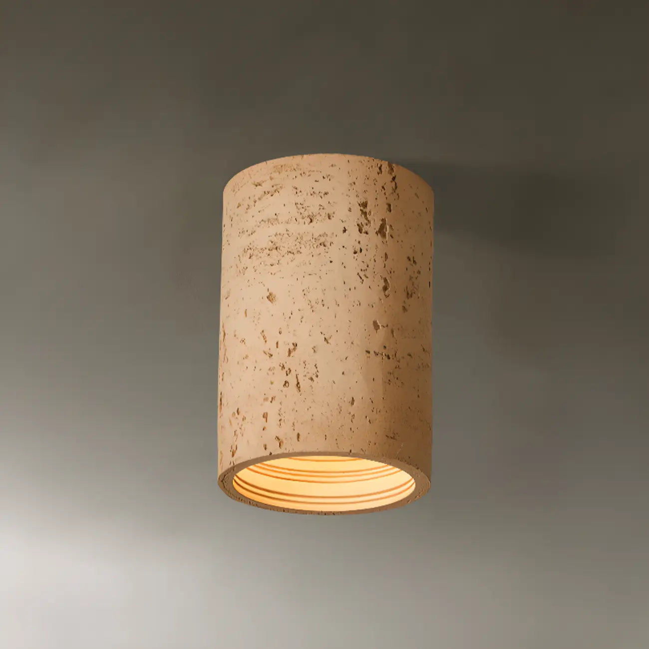 Dimmable Cylinder Flush Mount Ceiling Light for Indoor Use