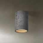Dimmable Cylinder Flush Mount Ceiling Light for Indoor Use
