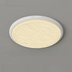 Modern Dimmable Circular Flush Ceiling Light for Indoor Use