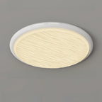 Modern Dimmable Circular Flush Ceiling Light for Indoor Use