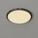 Modern Dimmable Circular Flush Ceiling Light for Indoor Use