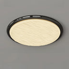 Modern Dimmable Circular Flush Ceiling Light for Indoor Use