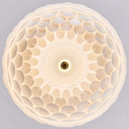 Stylish Ceiling Light with Feather Shade for Home Decor