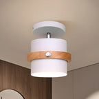 Green Cylinder Iron Modern Semi Flush Mount Ceiling Light