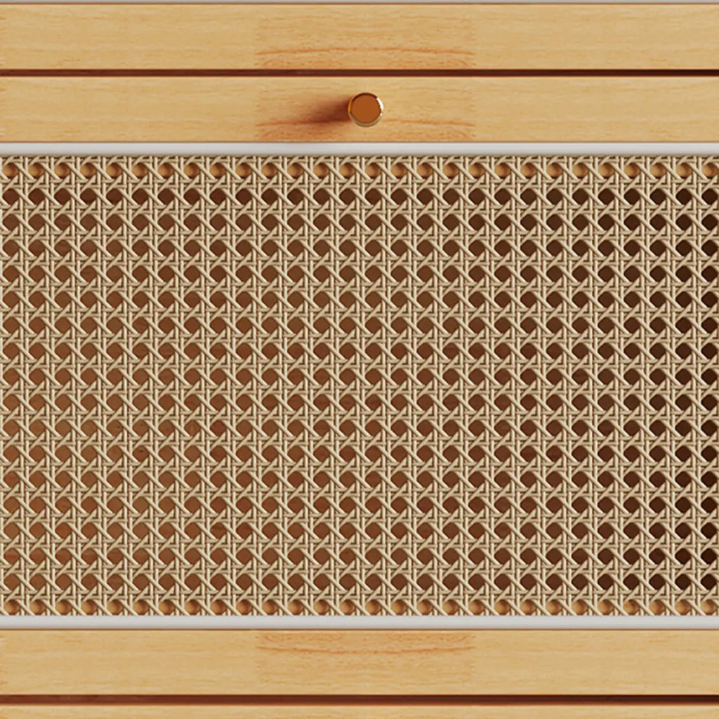 Bohemian Solid Wood Shoe Storage with Rattan Doors