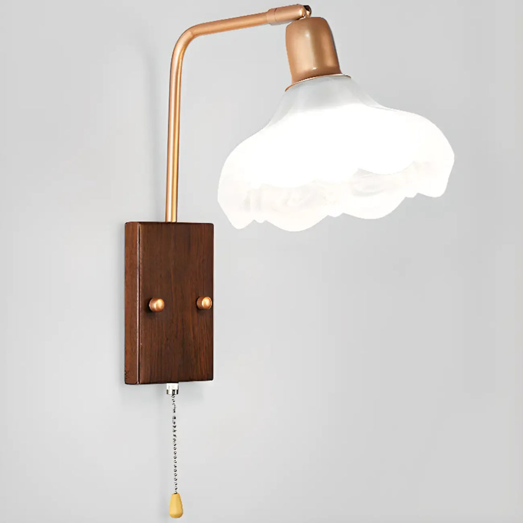 Elegant Swing Arm Wall Mount Light with Pull Chain Switch