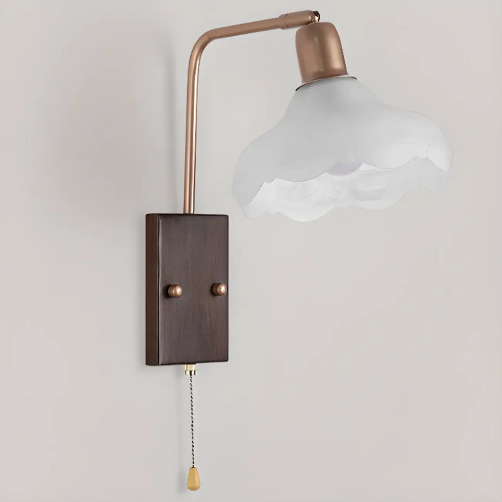 Elegant Swing Arm Wall Mount Light with Pull Chain Switch