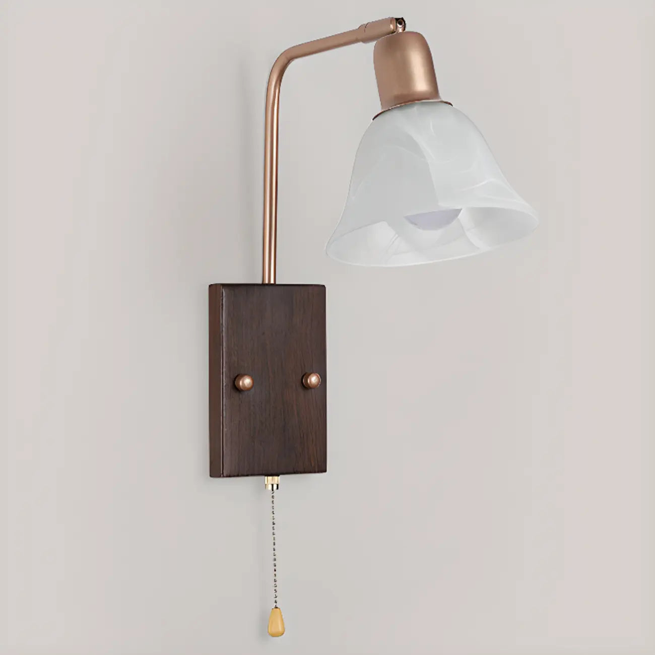 Elegant Swing Arm Wall Mount Light with Pull Chain Switch