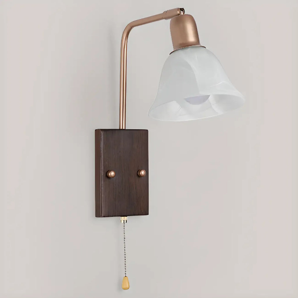 Elegant Swing Arm Wall Mount Light with Pull Chain Switch