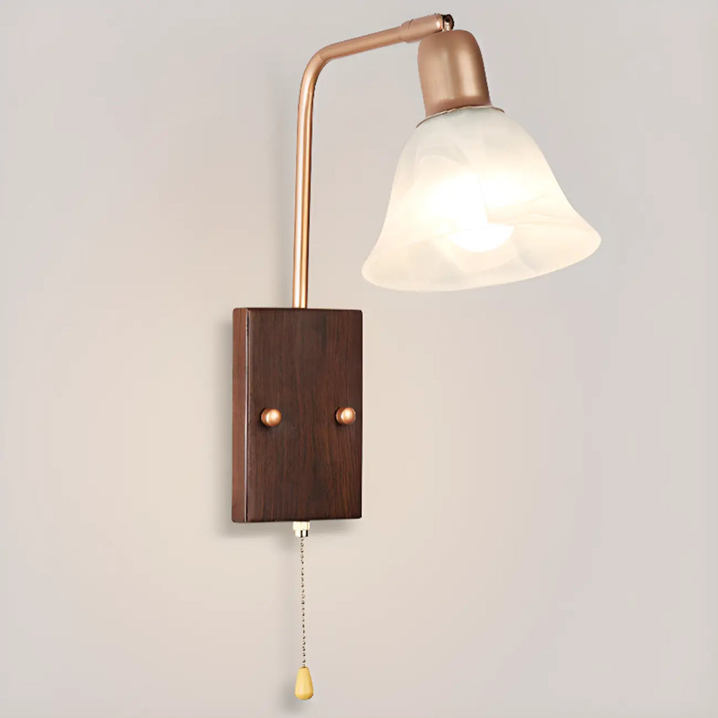 Elegant Swing Arm Wall Mount Light with Pull Chain Switch