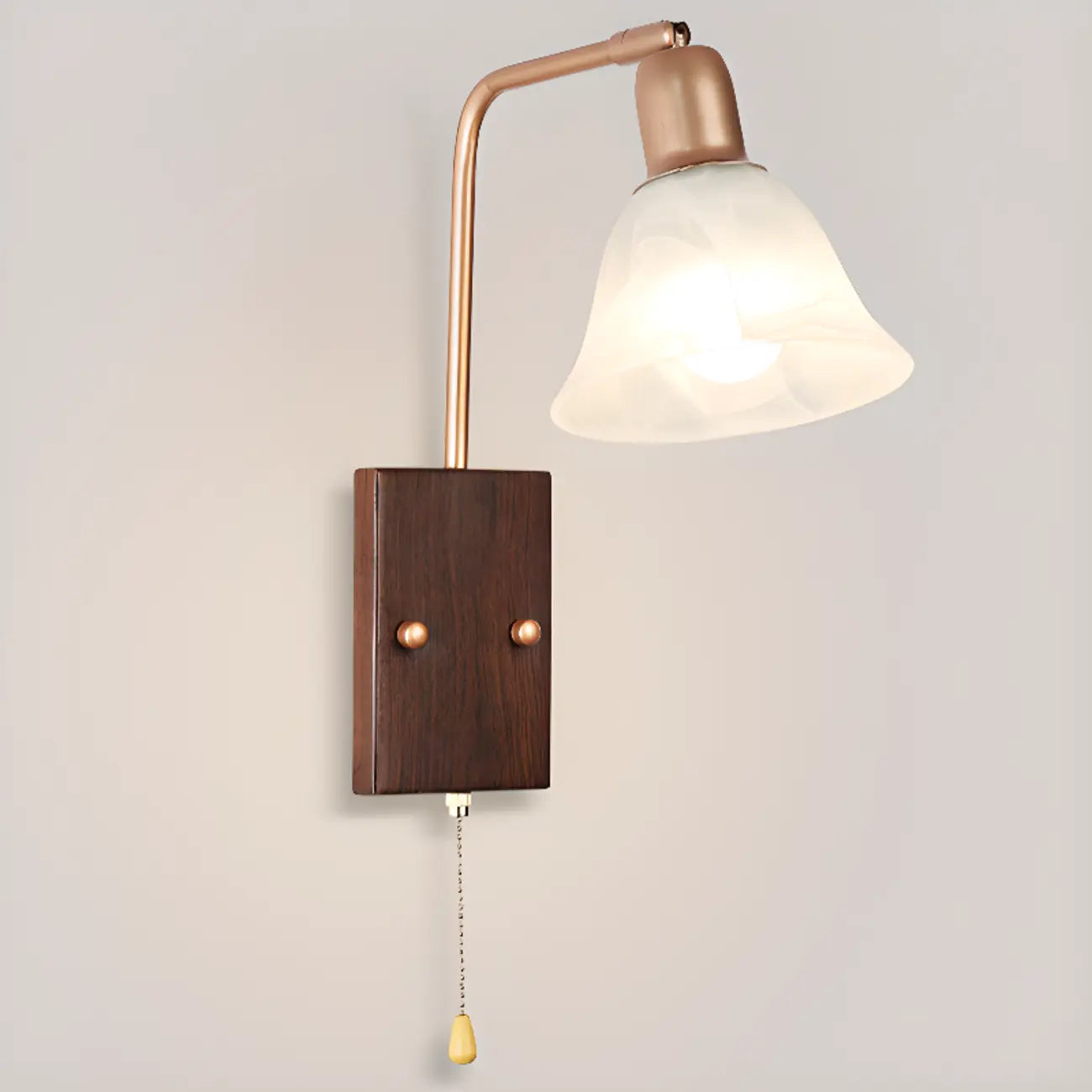 Elegant Swing Arm Wall Mount Light with Pull Chain Switch