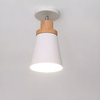 Green Cylinder Iron Modern Semi Flush Mount Ceiling Light