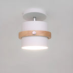 Green Cylinder Iron Modern Semi Flush Mount Ceiling Light