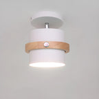Green Cylinder Iron Modern Semi Flush Mount Ceiling Light