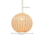 Oriental Beige Rattan Globe Pendant Light Fixture for Indoor