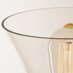 Old School Hardwired Globe/Barrel/Warehouse Clear Glass Pendant for Indoor with Grey/Translucent/Amber Vitreous Shade