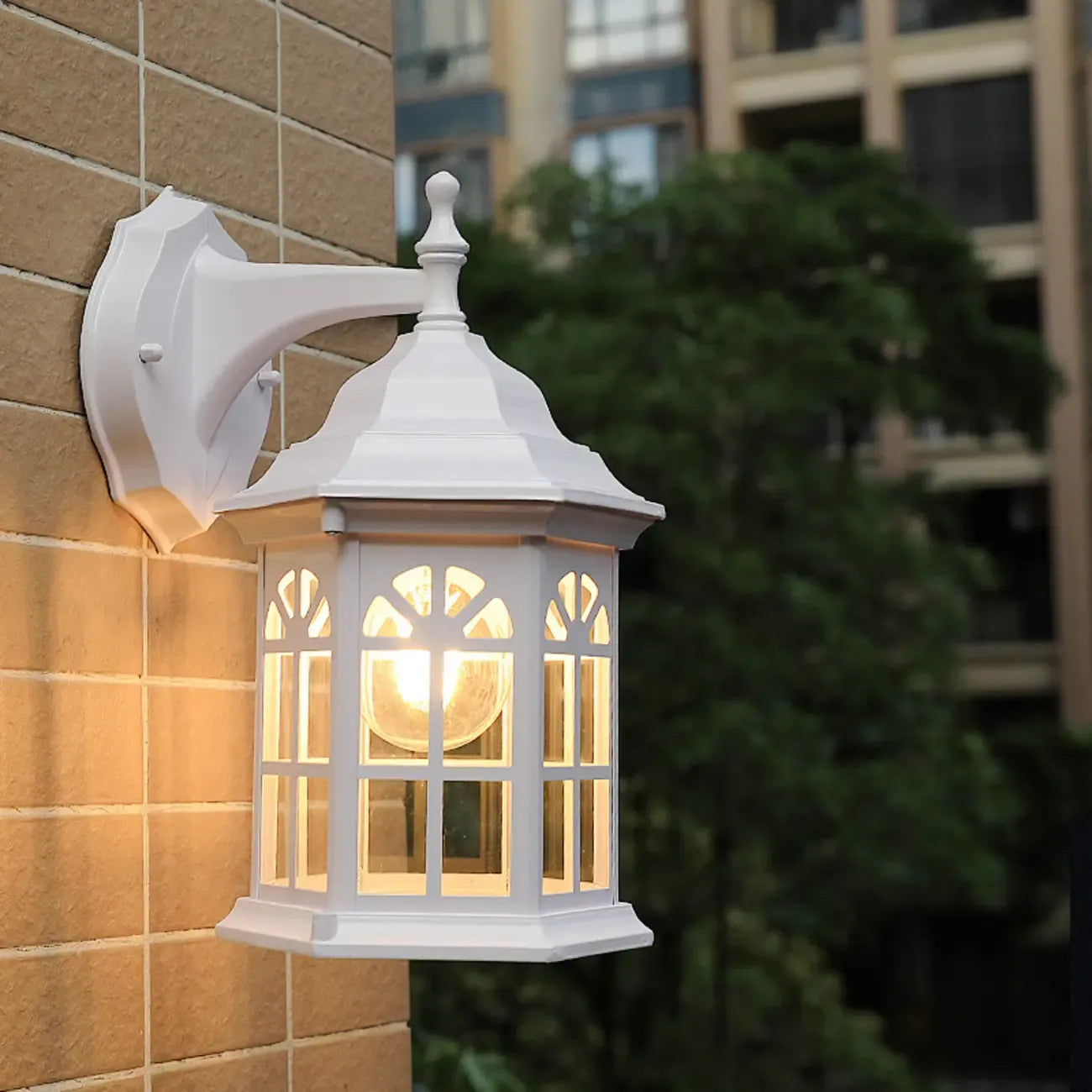 Modern Metal Lantern Glass Shade LED Outdoor Wall Light