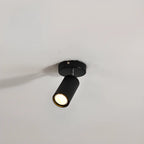 Modern Cylinder Semi-Flush Mount Metal Track Light