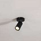 Modern Cylinder Semi-Flush Mount Metal Track Light