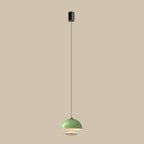 Modern Dimming Metal Hemispherical Pendant Light for Bedroom