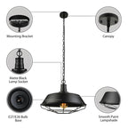 Industrial Black Metal Cap Caged Pendant Light